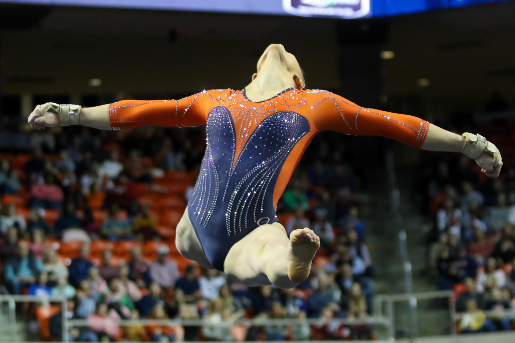 Auburn vs. Kentucky gymnastics